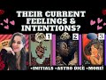 What are their current thoughts and feelings towards you  their intentions  tarot pick a card