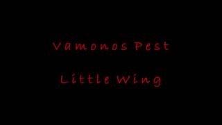 Vamonos Pest - Little Wing