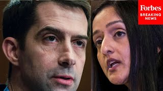 TENSE QUESTIONING: Tom Cotton asks Vanita Gupta: 