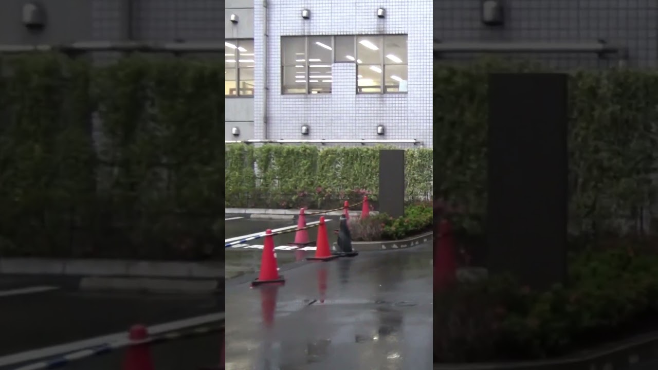 公の場での発言・インタビュー報道記録