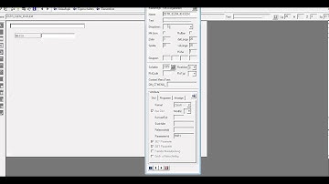 Use SET/GET Parameter ID in SAP