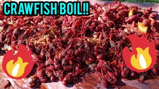 How to Boil Crawfish | Cass Cooking | Memorial Day Boil