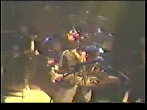 Innocent Bystander Performing "Rock Lobster" (Live...
