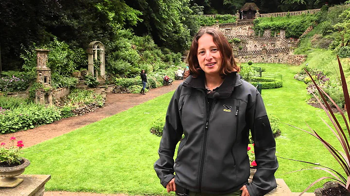 Wex Walkabouts | Gardens with Victoria Hillman