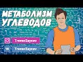 01. Метаболизм углеводов