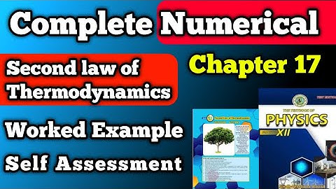 Numerical solution chapter 17 second law of thermodynamics class 12 new physics book | Second year