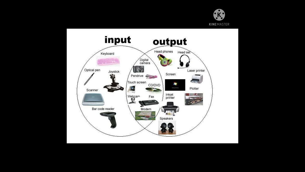 devices used as both input output|by learn computer skills