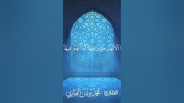 من سورة النساء من الآية 56 || محمد يونس البخاري