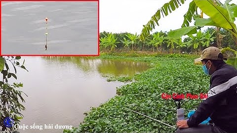 Câu Đài Nghiệp Dư - Kinh Nghiệm Câu Cá Mùa Đông Hữu Ích