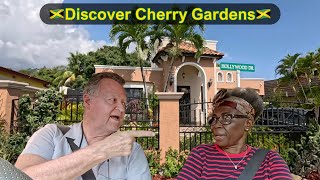 In Search of Cherry Gardens: A Breathtaking Journey