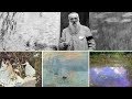 「クロード・モネ Claude Monet」きく名画のドラマ