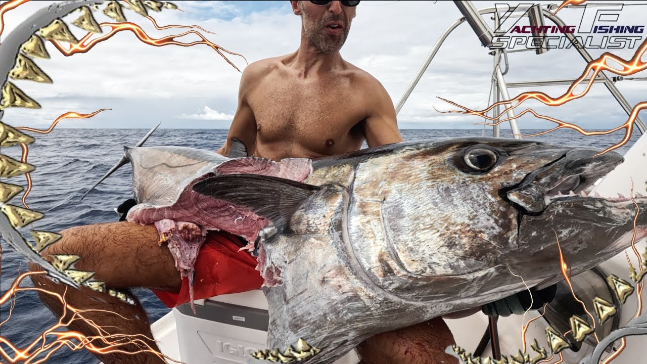 Catamaran Fishing Trip Seychelles November 2024 - YFS Jigging Popping Seychelles