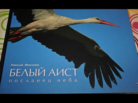 Обзор книг "Белый аист. Посланец неба. Черный аист. Лесной отшельник."