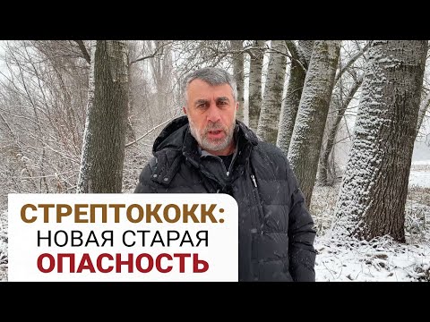 Видео: Является ли стрептококк сангвинис бета гемолитическим?