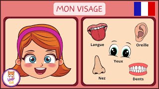 LES PARTIES DU VISAGE | Vocabulaire pour enfants en Français