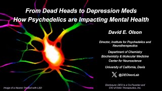From Dead Heads to Depression Meds: How Psychedelics are Impacting Health with Dr. David Olson