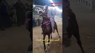 إبداع رقص الخيل علي المزمار البلدي مع الريس بدري ابو السيد أفراح كوم عقوب عائلة الكريمات 01065173993