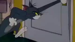 Tom Gets Smacked