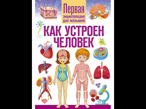 Как устроен человек. Первая энциклопедия для малышей