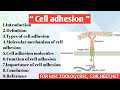 Cell adhesion | Types of cell adhesion | Molecular Mechanism of cell | Function | Importance