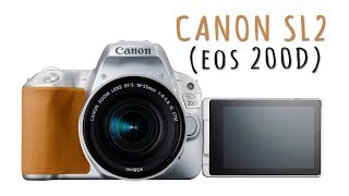 Canon Rebel SL2 (200D) - Melhor camera para Youtubers / Vlogers???