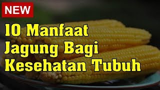 Inilah 7 Manfaat Jagung Rebus untuk Diet yang Sangat Efektif