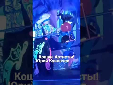 КошкиАртисты#рекомендации #жизнь #куклачев#театр