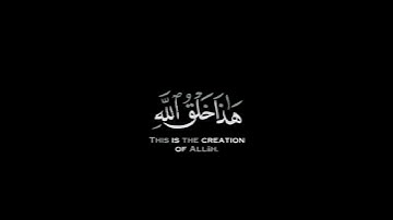 كروما شاشه سوداء قرآن كريم🍃 تلاوة خاشعة من سورة لقمان🍃 القارئ #سعد_ازويت #القرآن_الكريم