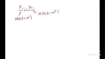 Information/Computation Gaps in Heavy-Tailed Statistics