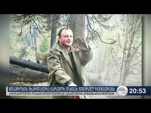 გარემოს დაცვას შეწირული რეინჯერები