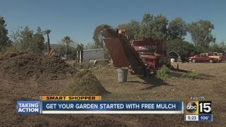 Free mulch!