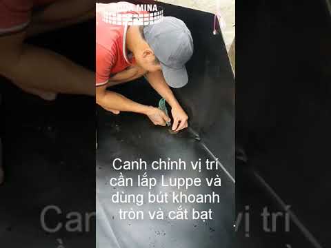 Video Bể lót bạt nuôi lươn - Cách lắp xả đáy cho ao lót bạt - youtube