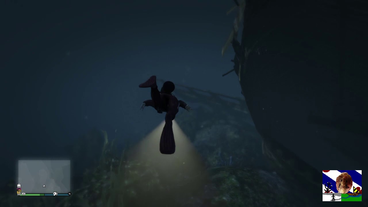 subscribers คือ SnakeFriesia 100 subscribers video - what lurks in the water ??