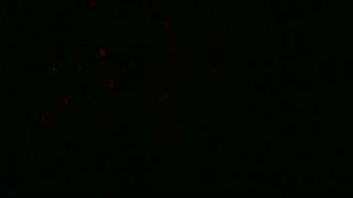RGY Twinkling Laser Light - Stars Full Of the Sky