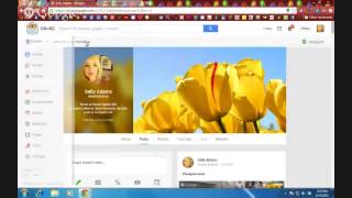 Google + and Virtual Field Trips