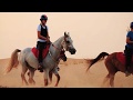 DUBAI HORSE RIDING - AMAZING VIDEO [by Supek Team Endurance]