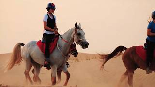 Dubai Horse Riding - Amazing Video By Supek Team Endurance