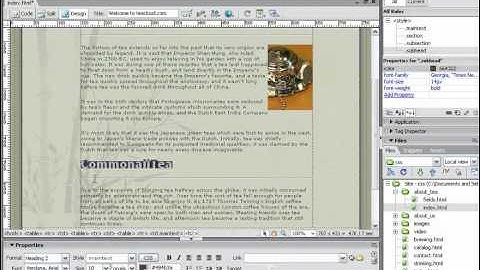Macromedia Dreamweaver 8 Essential Training chap7