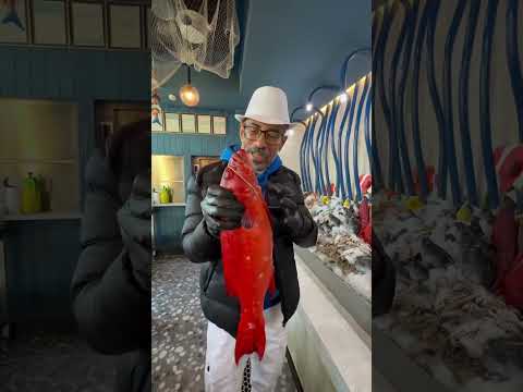 تعالى اقولك معلومات وطريقه تسويه السمكه الناجل القشطه اللى شارب قشطه السعودية اكسبلور مصر