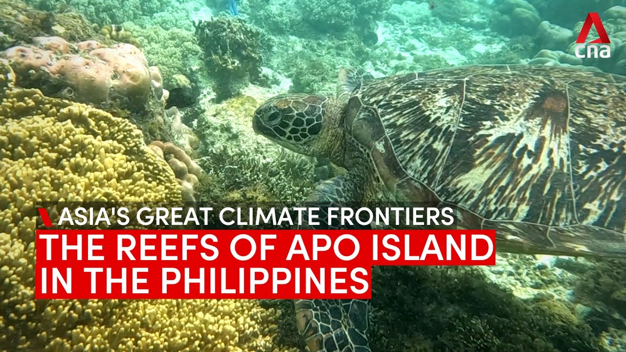 Asia s Great Climate Frontiers The Reefs Of Apo Island In The Asia s Great Climate Frontiers The Reefs Of Apo Island In The