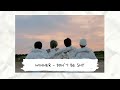 WINNER(위너) - DON'T BE SHY(끄덕끄덕) [繁中字]