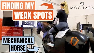 IS RIDER FITNESS AS IMPORTANT AS HORSE FITNESS?