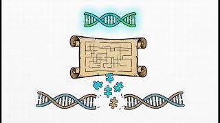 Module 3: How CRISPR Edits DNA | Gene Editing Basics | OpportuNest Research Institute