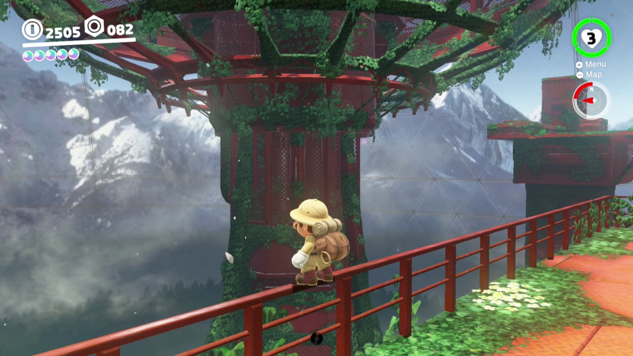 Wooded Kingdom Power Moon 62 Bird Traveling The Forest YouTube