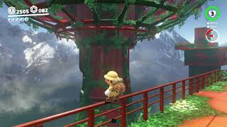 Wooded Kingdom Power Moon 62 - Bird Traveling The Forest screenshot 5