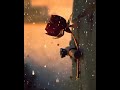 عم بتشتي ذكريات... وميات الشتي دمعات، من بعدك ما في حياة، مش حلوة الدني...🖤