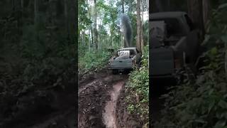 ออฟโรดเที่ยวป่าใหญ่ #offroad #4x4 #ชมไพรออฟโรด #4wd #4wdadventure #4x4offroad #shortvideo #shorts