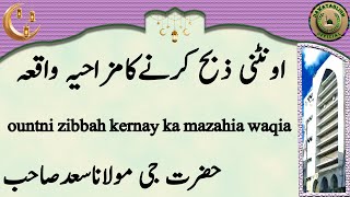 Ountni Zibbah Kernay Ka Mazahia Waqia اونٹنی ذبح کرنےکامزاحیہ واقعہ Maulana Saad Sahab