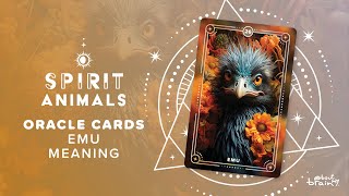 Emu Spirit Animal | Symbolism & Meaning Explained
