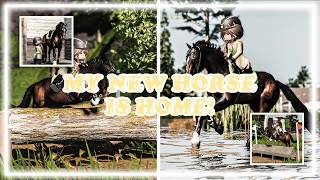 RIO IS HOME! MY FIRST RIDE ON MY NEW HORSE! || STRIDEWAY RRP EP 8
